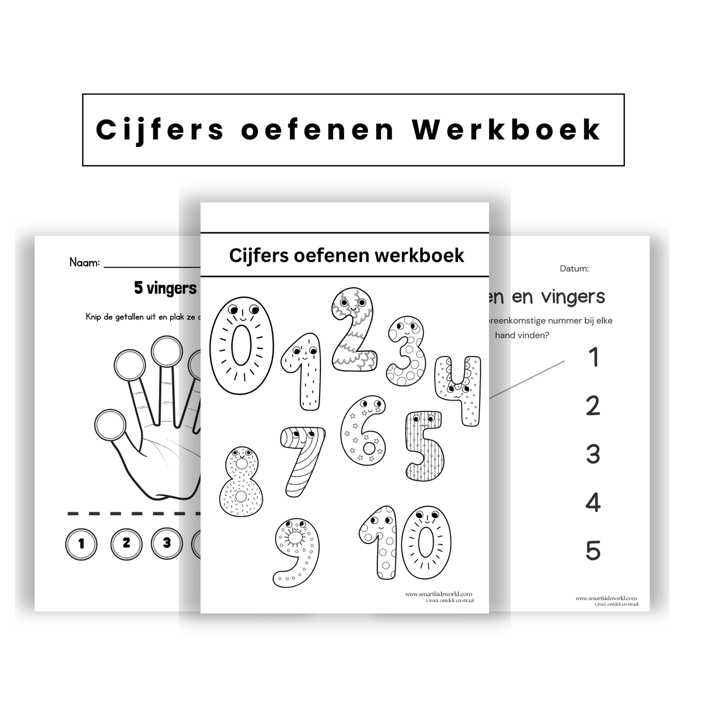 Cijfers Werkboek PDF