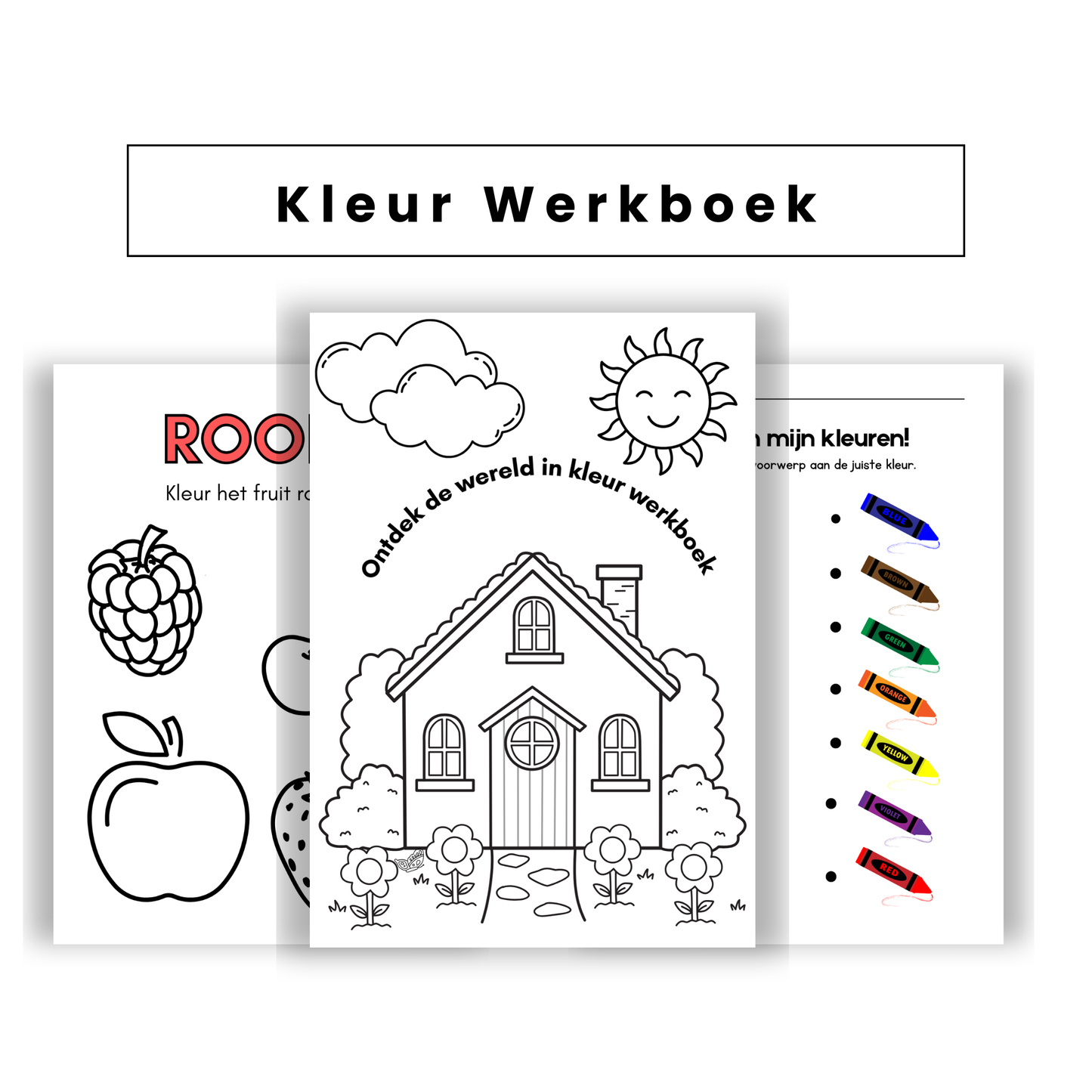 π¨ Kleur Werkboek β PDF