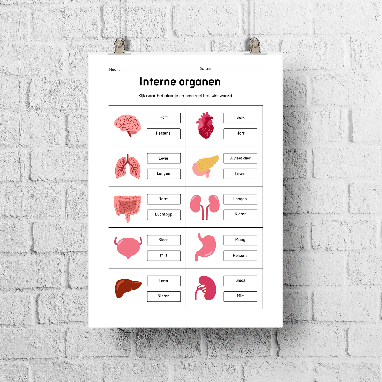 Mijn Magische Lichaam! - Pakket - Printable