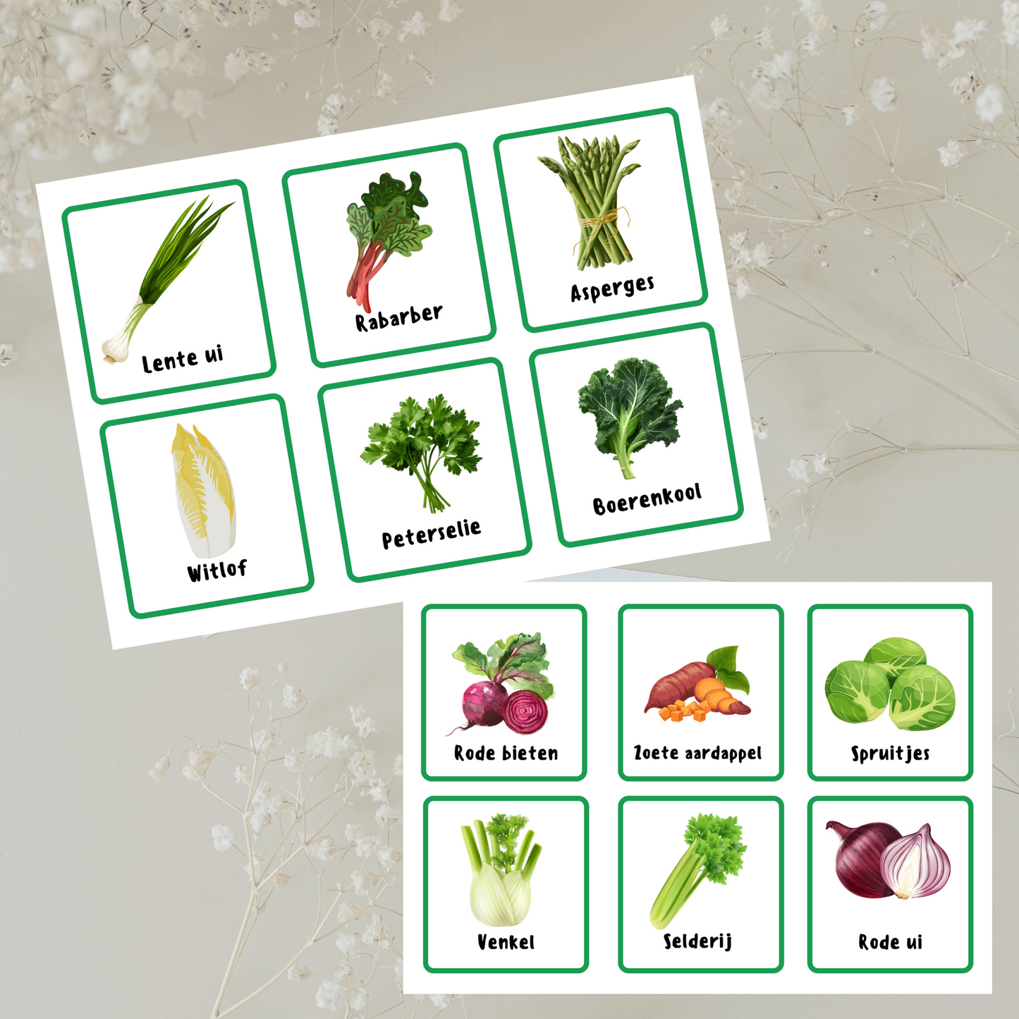Kleine Koks Herkennen Groenten