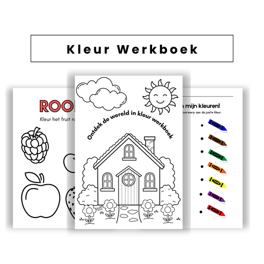 🎨 Kleur Werkboek – PDF