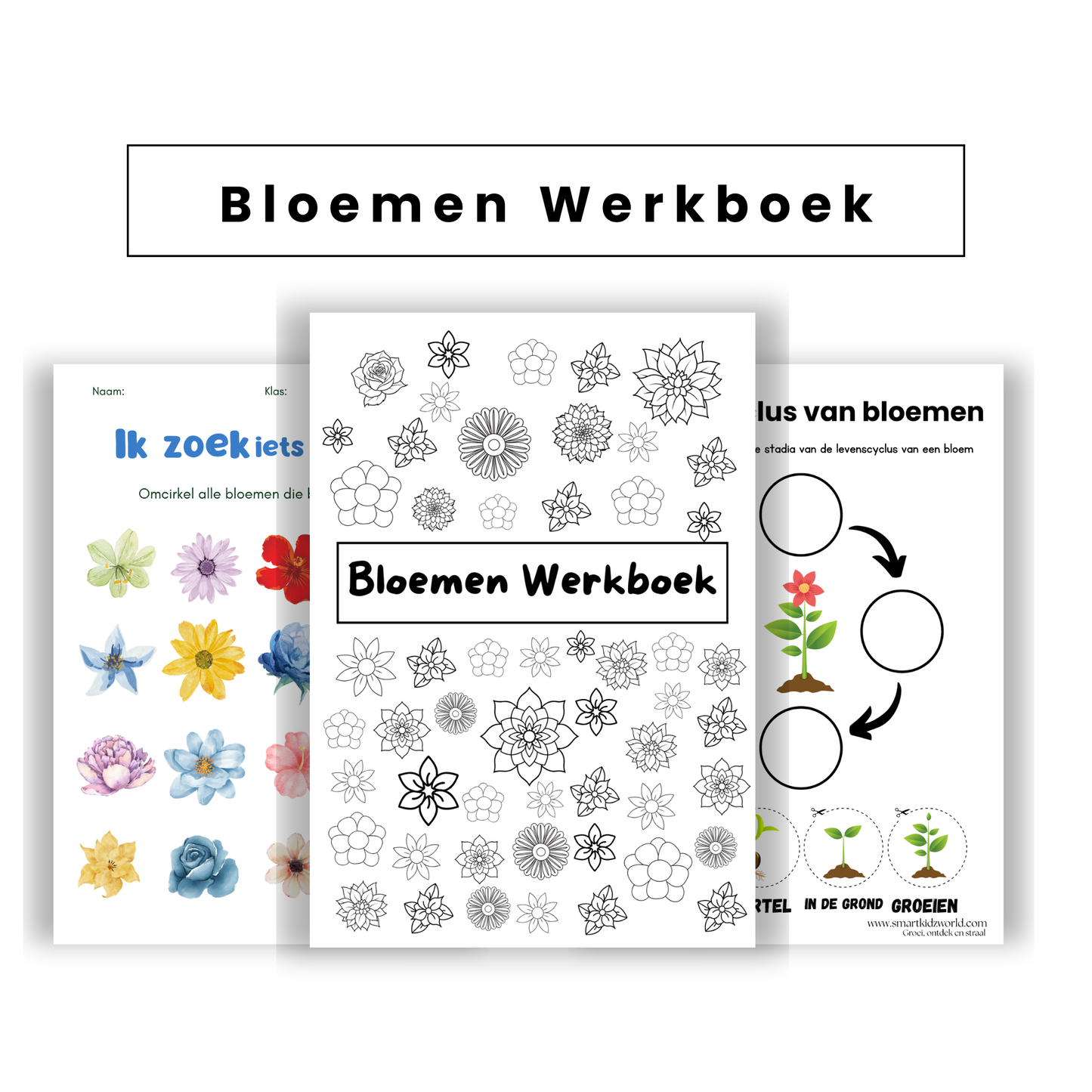 🌼 Bloemen Werkboek – PDF