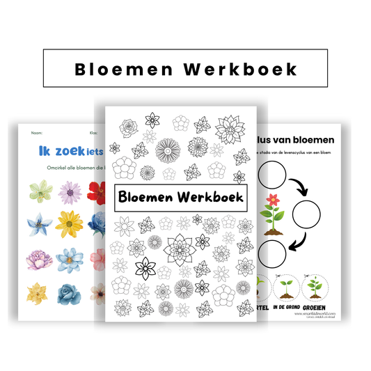 🌼 Bloemen Werkboek – PDF