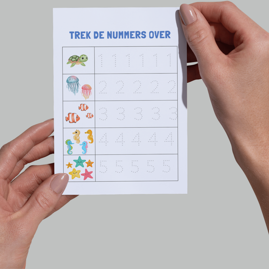 Schrijfplezier: Leren Schrijven voor Kinderen! - Pakket - Printable