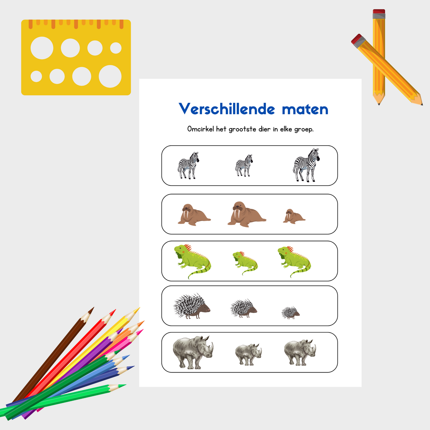Klein, Groot of Grootst? Ontdek het met Dieren!