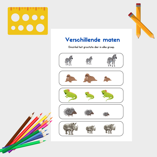 Klein, Groot of Grootst? Ontdek het met Dieren!