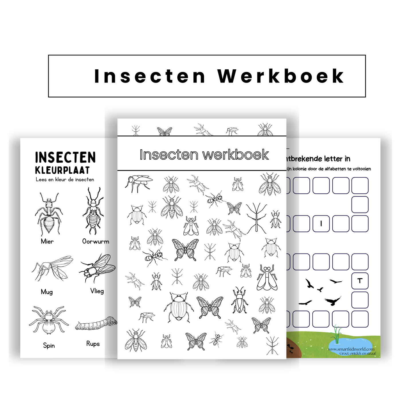 🦋 Insecten Werkboek – PDF