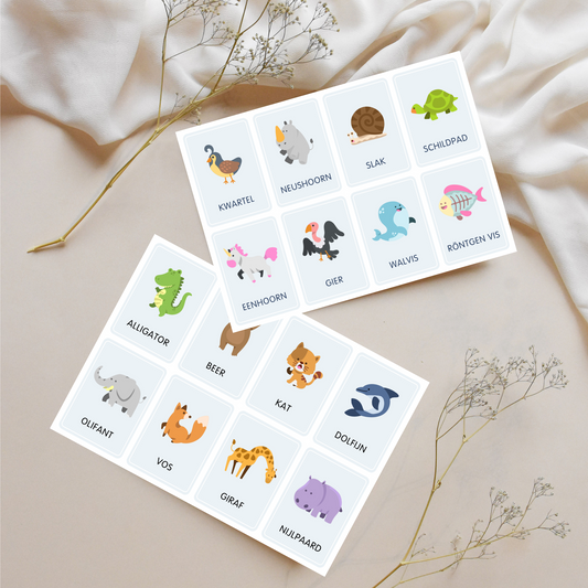 Dierenkaartjes – Kijk & Leer